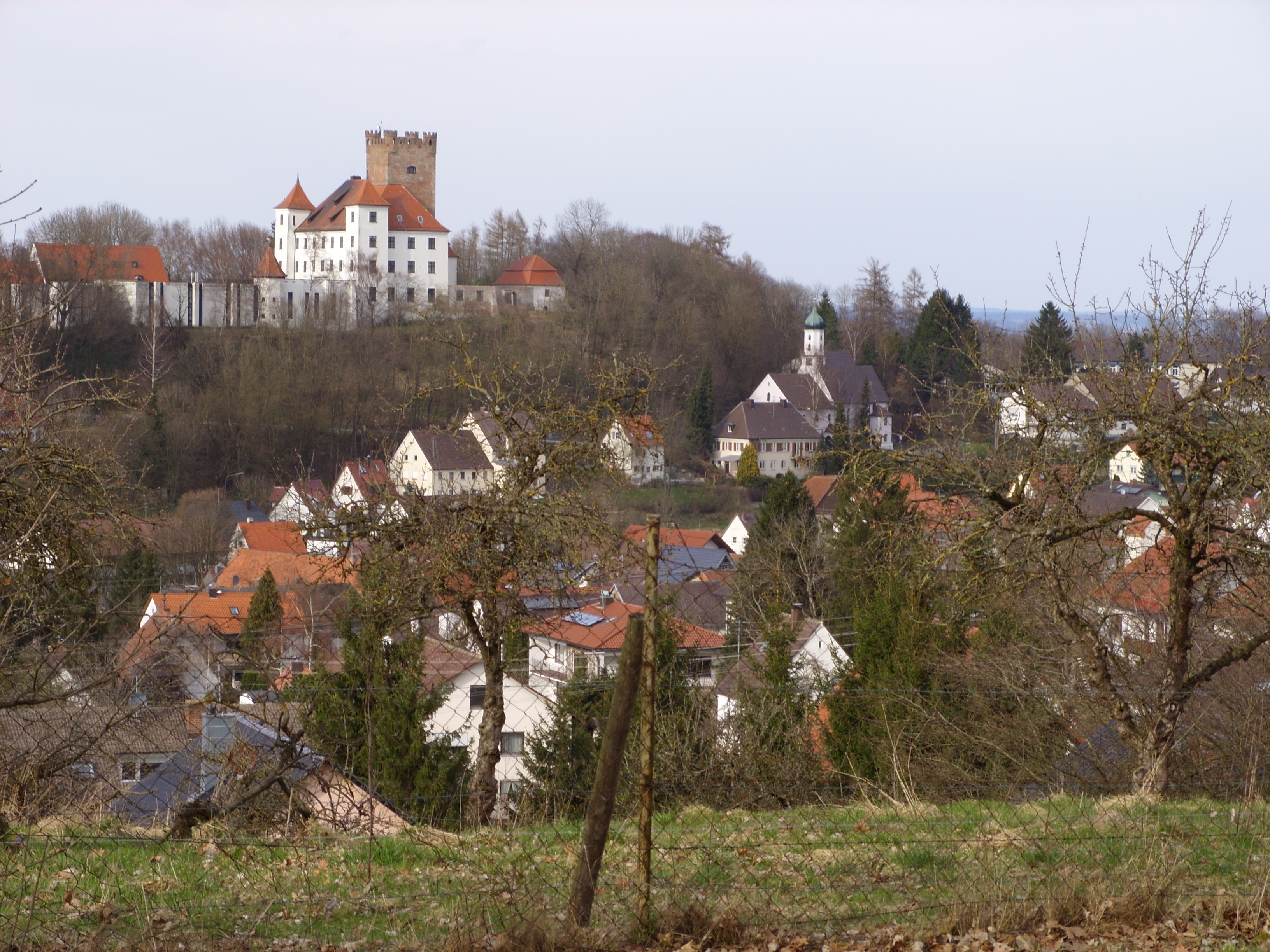 Schlo und Kirche Reisensburg